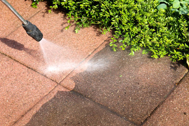 Best Residential Pressure Washing Services  in Wrightwood, CA