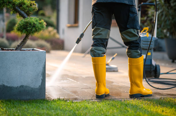 Best Pressure Washing Near Me  in Wrightwood, CA